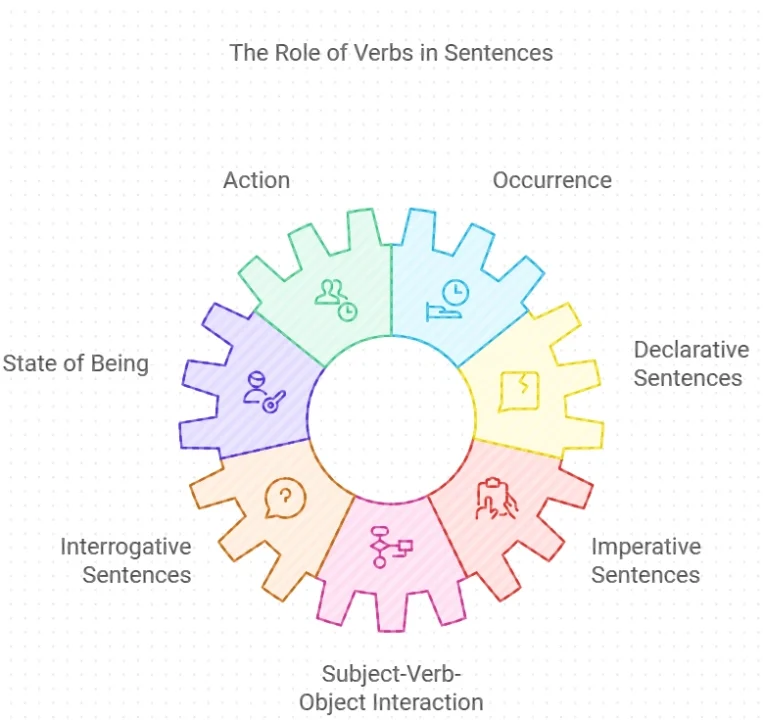 The role of verbs in a sentence